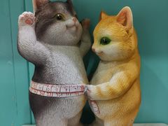 -大兵小将鲜牛肉冒菜麻辣香锅(紫金门花苑店)