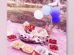 -长白岛森林公园