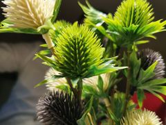 -佬麻雀·剁椒鱼头(京基KK One店)