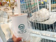 -兵立王鲜果茶·奶茶(马家巷一店)
