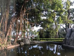 -鼓浪屿钢琴博物馆