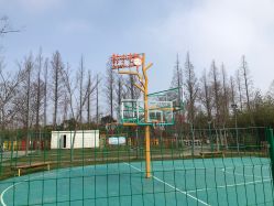 点击看大图 -前小桔亲子创意农场·草莓采摘·露营烧烤