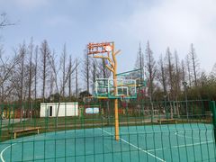 -前小桔亲子创意农场·草莓采摘·露营烧烤