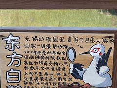 -无锡动物园·太湖欢乐园