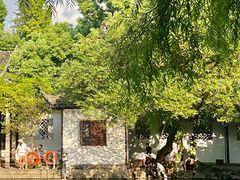 -西园戒幢律寺