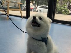 -博特宠物医院24h犬猫全科.骨科·异宠