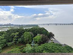 -大湾区中央湿地公园