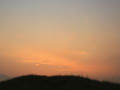 -白鹭湾湿地公园