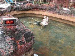-青岛海泉湾度假区温泉
