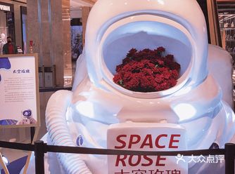 有点浪漫的中国航天展山东首展