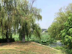 -月湖风景区