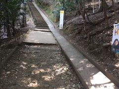 -岚山猴子公园