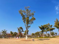 -上海长兴岛郊野公园