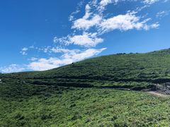 -灵山