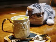 -咖法森林·咖啡  酒吧(天河店)