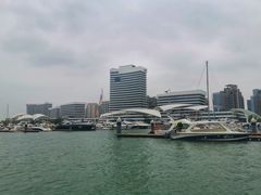 -五缘湾游艇帆船俱乐部