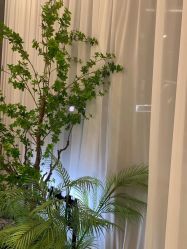 -简影造型·自选烫染接发salon