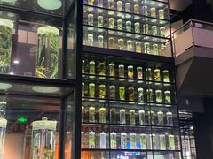 -广东中医药博物馆