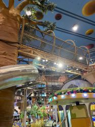 -卡通尼·Safari非洲探索乐园·生日会(金桥国际商业广场店)