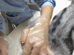 -谐和贝康宠物医院24小时·宠保定点(急重症转诊中心)