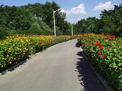 -长春公园(普阳街道)