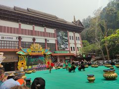 -西双版纳原始森林公园