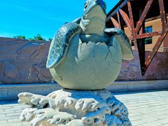 -广东惠东海龟国家级自然保护区