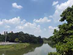 -海珠湖公园