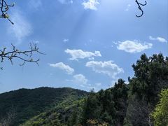 -香山公园