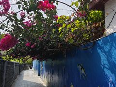 -三亚西岛海洋文化旅游区