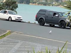 -Takapuna Beach Cafe