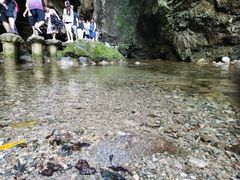 -牛背梁国家森林公园