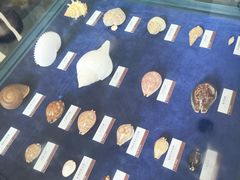 -浙江自然博物院(杭州馆)