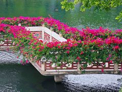 -深圳龙潭公园