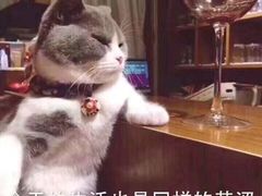 -外婆粥屋(公园街店)