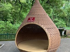 -东湖落雁景区