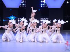 -舞蕾舞蹈(特长生校区)