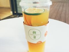 -树夏(鹭洲里店)
