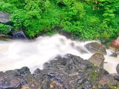 -鹿院坪生态旅游景区