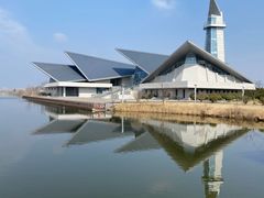 -盐城丹顶鹤湿地生态旅游区