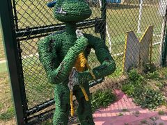 -南汇水蜜桃采摘(大团店)