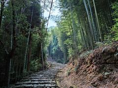 -仙霞关景区