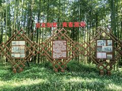 -黄海国家森林公园