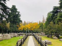 -明故宫遗址公园