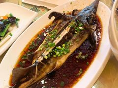 -百姓渔村(朝阳店)