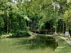 -桤木河湿地公园