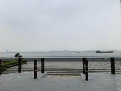 -大湾区中央湿地公园