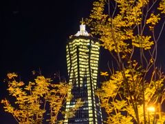 -运河游船(武林门码头)