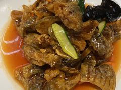 -燕春楼(海河华鼎店)