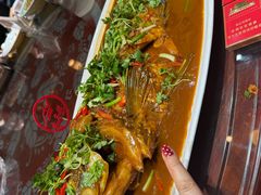 -木子山庄·安徽省老字号·中国炖锅宴